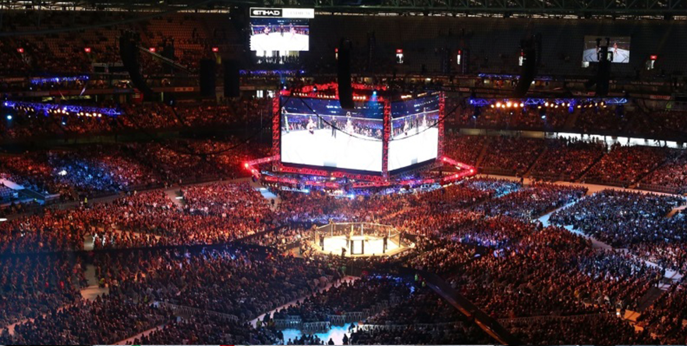 UFC В РОССИИ: НУЖЕН ЛИ 